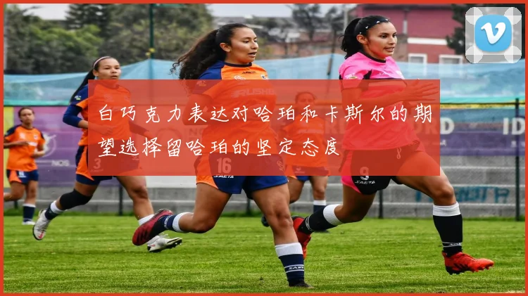白巧克力表达对哈珀和卡斯尔的期望选择留哈珀的坚定态度